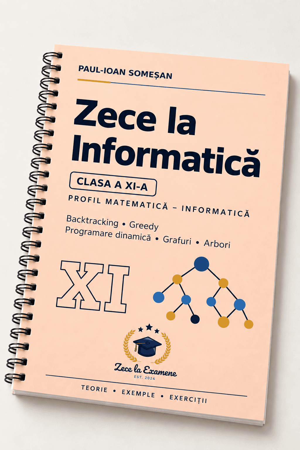 "Zece la Informatica" - Clasa a 11-a | Toata materia din programa scolara - explicata si exemplificata